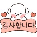 2G 오토 이미지