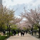 방배로 249 | 최근의 일상, 내방역 푸드트럭 순대맛집, 오렌지 비앙코 그리고 버닝올로지티 주황물