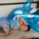 고래메드 이미지