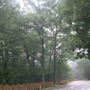 동창과의 데이트 여행 이미지