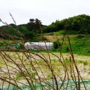 혁신중앙공인중개사사무소 이미지