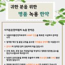 시지든든한의원 이미지