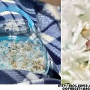 매산리 538 이미지