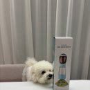 코코코 | 사료와 물통,배변봉투를 한번에! 코코코펫 강아지휴대용물병 후기