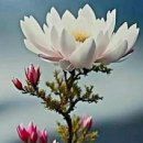 댕겨오겠습니다 이미지