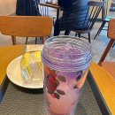 블라썸티 이미지