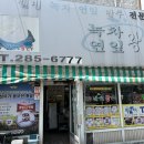 인동녹차연잎왕만두