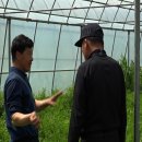 동곤농장 티스토리
