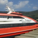 멍멍개야 이미지