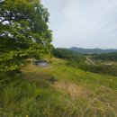 시원한 농장 이미지