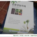 땅끝부추 이미지