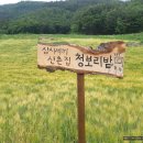 삼시세끼 산촌편 촬영지(강원 정선) 이미지