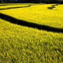 진화농장2 이미지