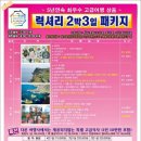 국제드림항공여행사