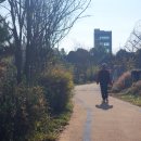 염하강철책길 이미지