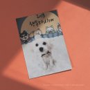 mm애견공방 이미지