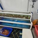 준이네바다상점 네이버블로그
