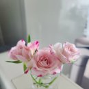 가을햇살수제떡케익