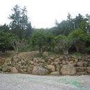 감나무골 식당 민박 이미지