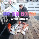 해성피싱 이미지