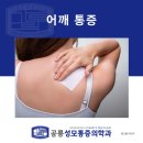머슬드래곤짐 | 인천논현동PT,인천PT,인천소래포구PT,인천논현PT어깨 오십견(유착성 관절낭염), 왜 생기고 어떻게 해결...