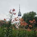 서울관광명소, , 남산 서울타워 이미지