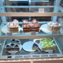 삼아건설(주) | 12월 넷째주 별거없는 일상기록 / 스타듀밸리 시작하다, 아바타3, 잘먹는일상..