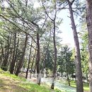 능수버들공원 화장실 이미지