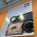 내국수 | 메밀 100% 막국수집을 찾아서 / 평택 막국수 맛집 /선바위 메밀장터 / 내돈내산