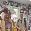 돌비민박 이미지