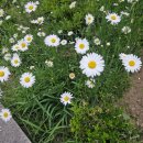 알토란한정식 이미지