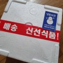 퍼피플레이트