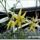 다해농장 이미지