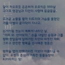 채은농장 이미지
