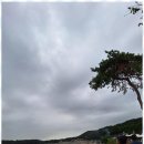 행정사무소 공감 이미지