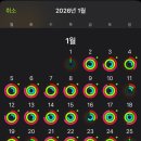 조치원약국 | [일상] 한살 더 먹었다고 바로 아프기 있나 싶은 26년 1월 일상 (feat. 생일주간 🎂)