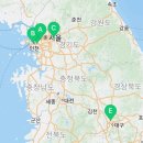 오독안심분양센터 강아지분양 고양이분양 목동점 이미지