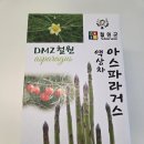 하원농장 | 철원별난농장 아스파라거스즙액상차 후기