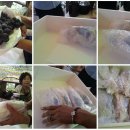 고송농장 이미지