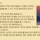 왜목마을좌대낚시터 이미지