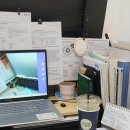 [기획강좌] 인공지능의 이해와 활용_생성형 AI 활용 특강 | [논문기초 특강] 인공지능 시대, 논문 작성법의 대전환: 'AI 활용법'은 끝났다.