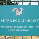 마리교회 이미지