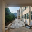 군산소룡초등학교 이미지