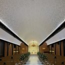 한신 카 서비스 | [웨딩홀/강남] 아펠가모 선릉 견적 공유 및 투어 후기: 밥펠가모 명성 그대로! (식사, 주차, 단독홀)