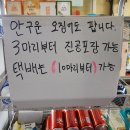 제주 성산 오징어 맛집, 목화휴게소 현금가 13,000원 후기