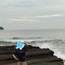 남부갈치조림 | 사계바다 통갈치조림구이 만족스러웠던 갈치요리![풍파로그제주]