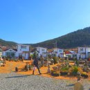 오분 민박 이미지