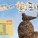 힐링포차 Daum카페