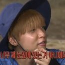 톰하우스 이미지