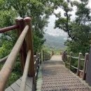 미스터 투
